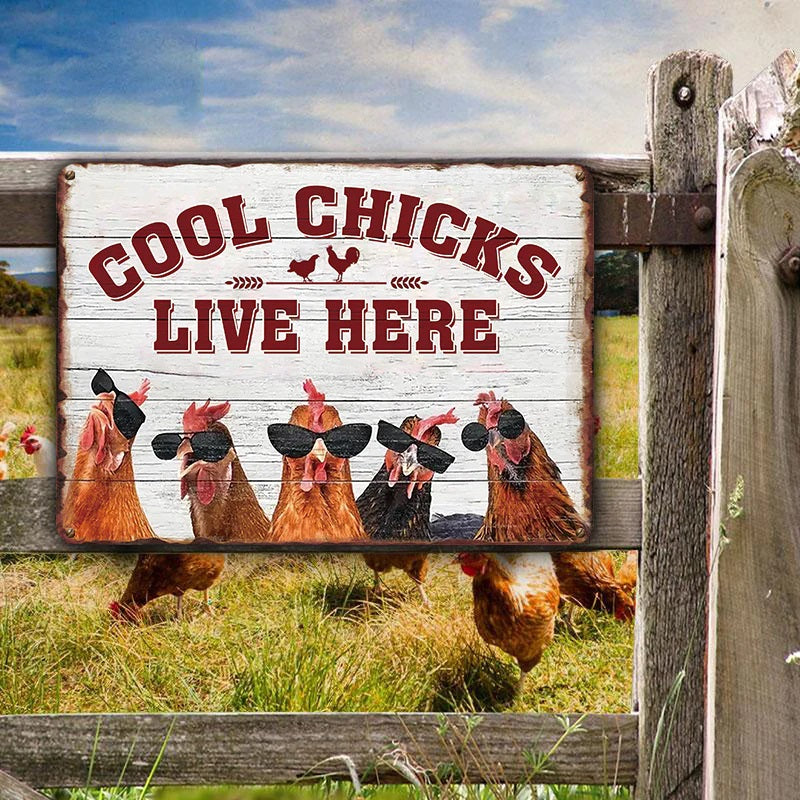 Chicken Coop Sign | Cool Chicks Live Here Chicken Coop Sign Metal Cool Chicks Live Here Information Signs