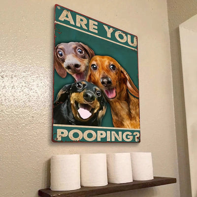 Are You Pooping Funny Dogs - Metal Sign - Gifts For Pet Lovers Personalized Custom Metal Sign