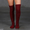 Over The Knee Knit Socks